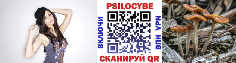 Псилоцибиновые грибы GOLDEN TEACHER  гидра ССЫЛКА  Фокино 